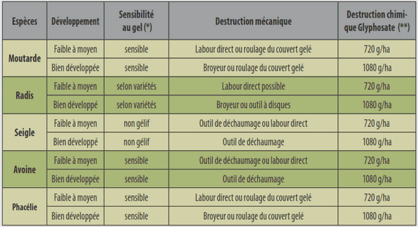 Culture de la betterave sucrière